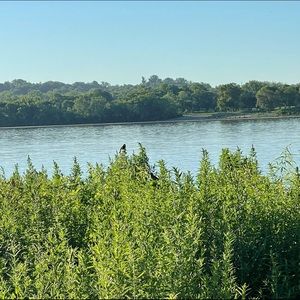 Meet your Posher, Della